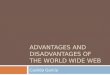 Advantages And Disadvantages Of The World Wide Web