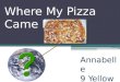 Where My Pizza Came From