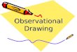 Observational drawing -birds_yr_10