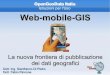 il Web-mobile-Gis (OpenGeoData Italia 2013)