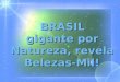 BRASIL - PRAIAS