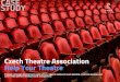 Czech Theatre Association  Case Study - Help Your Theatre