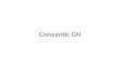 Crescentic GN