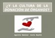 Diapositiva de donacion de organos (1)