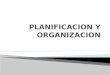 Dominio planificacion y organizacion-adrian fonseca