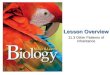 CVA Biology I - B10vrv4113