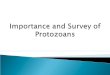 Survey Of Protozoans