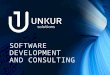 Software development and consulting