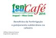 Fenicafé 2014   william damas beneficios da fertirrigação e gotejamento subterrâneo no cafeeiro
