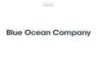 Blue Ocean: case study