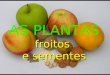 As plantas: froitos