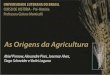 Origens da agricultura: Revolução Agrícola Neolítica