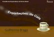 Cecafé   apresentação agrocafé 2013 - guilherme braga (versão mais atual)