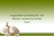 Vegetables planting list  for winter season by arbor