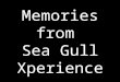 Memories from Sea Gull Xperience
