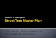 Master plan series introduction 10 issues..many options for successful streetscapes