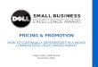 Pricing &  Promo    S B  Excellence  Award