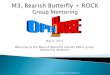 M3 + bearish butterfly group session 5 2-13