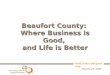 Beaufort County Defense-based economy