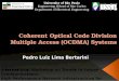 Coherent Optical Code Division Multiple Access (OCDMA) Systems   Pedro Bertarini