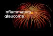 Inflammatory glaucoma by dr. Nermin