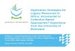 Digitization Strategies for Legacy Resources in Africa: Incremental or Collection Based Approaches? Experience from the University of Botswana