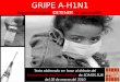 Argumentos para detener la vacunaci³n contra la Gripe A H1N1