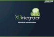 X Bintegrator Document Generation