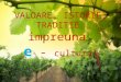 Prezentare proiect diosig VALOARE, ISTORIE, TRADITIE  impreuna  e - cultura!