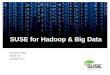 SUSE, Hadoop and Big Data Update. Stephen Mogg, SUSE UK