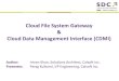 Software Developer Conference 2012 - Paper Presentation - Cloud File Systems
