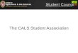 The cals student association (1)