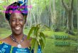 Wangari Maathai Pau Josep