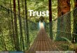 Trust and Authority online