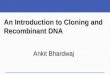 Cloning and recombinant dna
