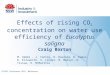 Effects of rising CO2 concentration on water use efficiency of Eucalyptus saligna - Craig Barton