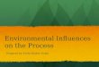 Environmental Influences on the Process
