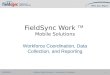 Field sync sales deck 20121031 generic