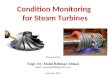 Steam turbine condition monitoring