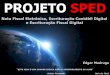 SPED:  Sistema Publico de Escrituracao Digital ECD - EFD - NFE