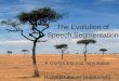 The Evolution of Speech Segmentation: A Computer Simulation