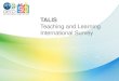 TALIS (Teaching and Learning International Survey)