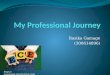 My professional journey ppt