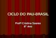 Ciclo do pau brasil