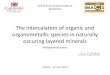 The intercalation of organic and organometallic species in naturally occuring layered minerals