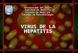 Virus del Hepatitis
