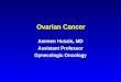 Ovarian Cancer Amreen Husain, MD