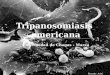 Diagnóstico lab. tripanosomiasis