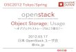 OpenStack Object Storage; Usage