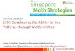 SDE National Conference on Singapore Mathematics Strategies